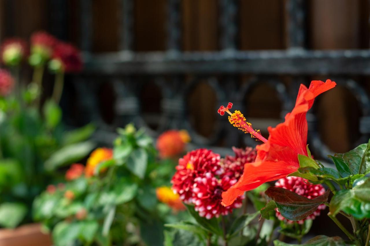 Flores Hotel Alaçatı Exterior photo